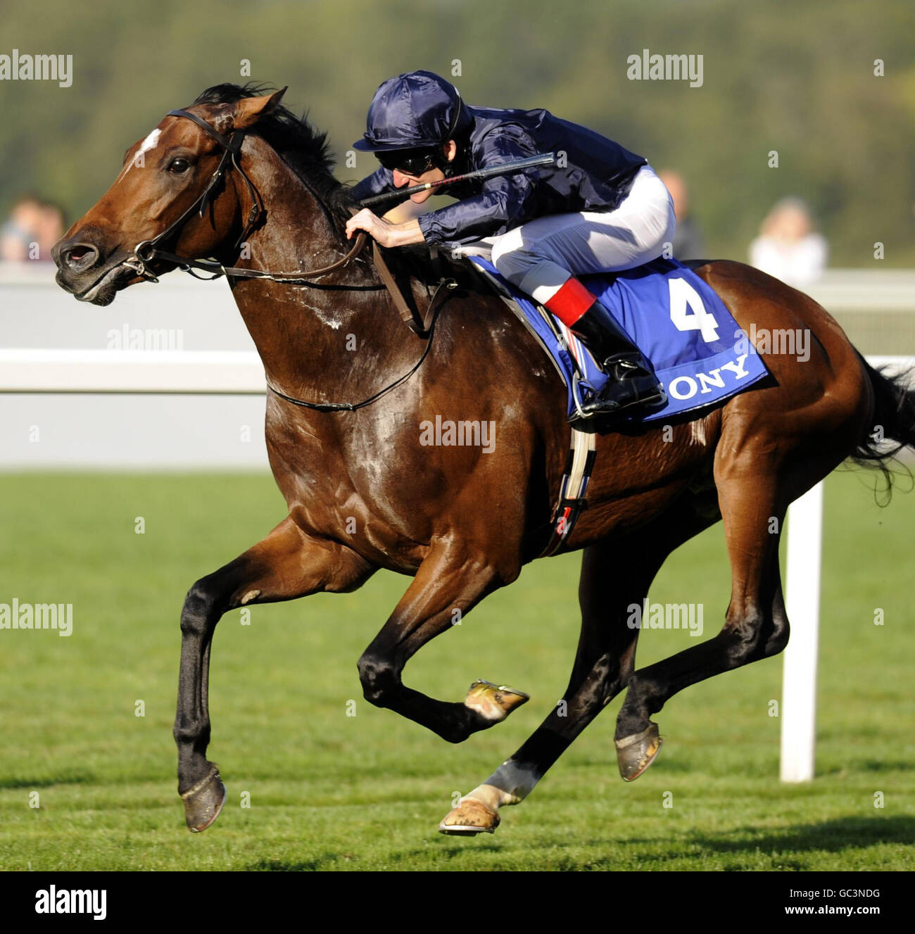 Rip Van Winkle and Johnny Murtagh win The Queen Elizabeth II Stakes during the Third Ascot Racecourse Beer Festival at Ascot Racecourse, Ascot. Stock Photo
