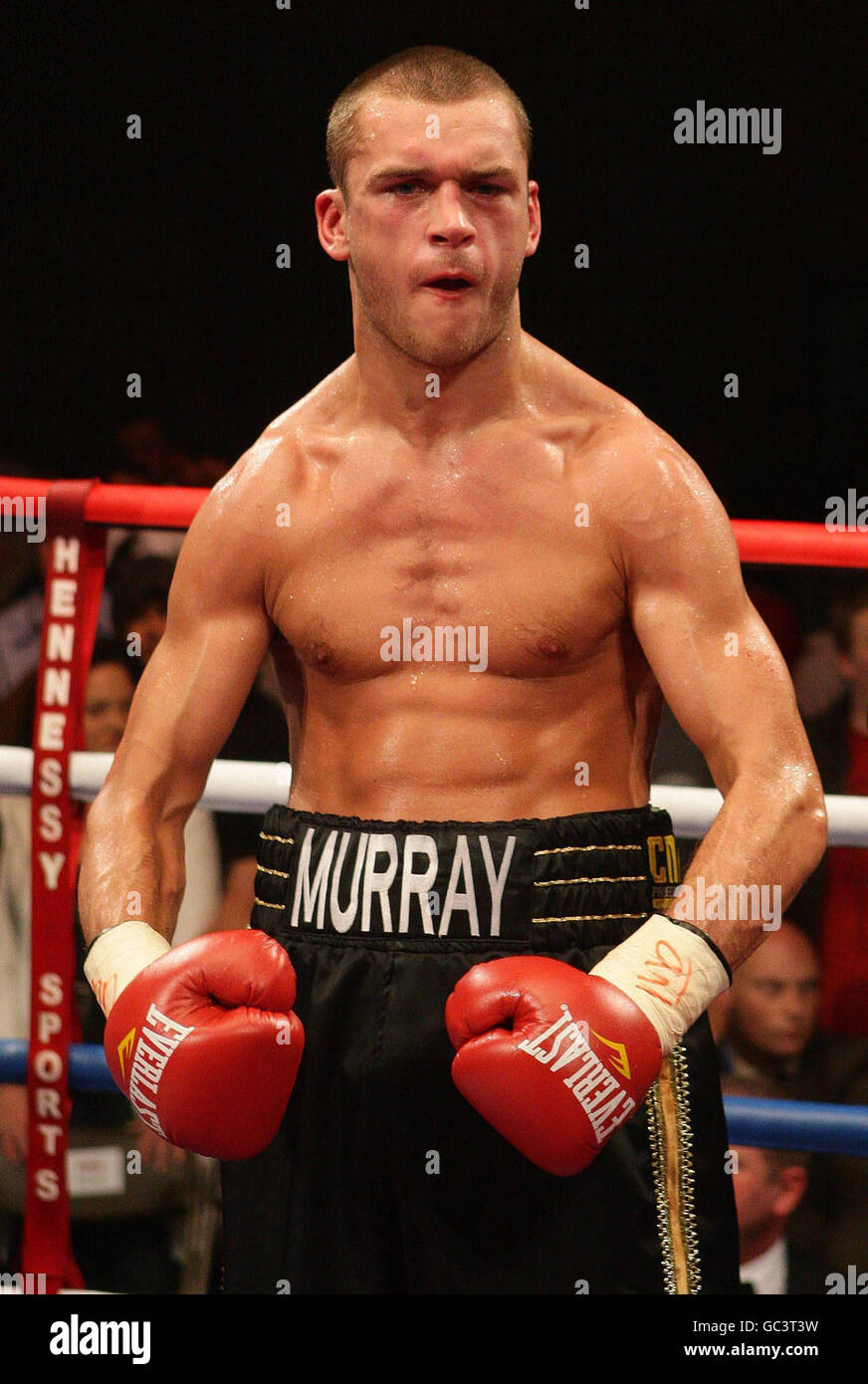 Lightweight Boxer High Resolution Stock Photography And Images Alamy
