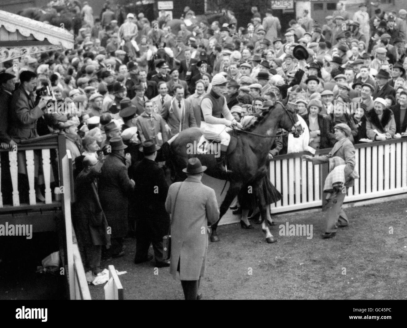 Horse Racing - Cheltenham Gold Cup - Cheltenham. Gold Cup winner Linwell, owned by David Brown and ridden by Michael Scudamore, is led in after his victory at the Cheltenham meet. Stock Photo