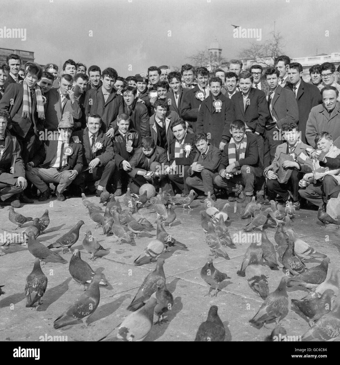 Liverpool soccer supporters in London to see their team meet Arsenal in the fifth round of the FA Cup, make friends with the pigeons in Trafalgar Square before going to Highbury for the match. Stock Photo