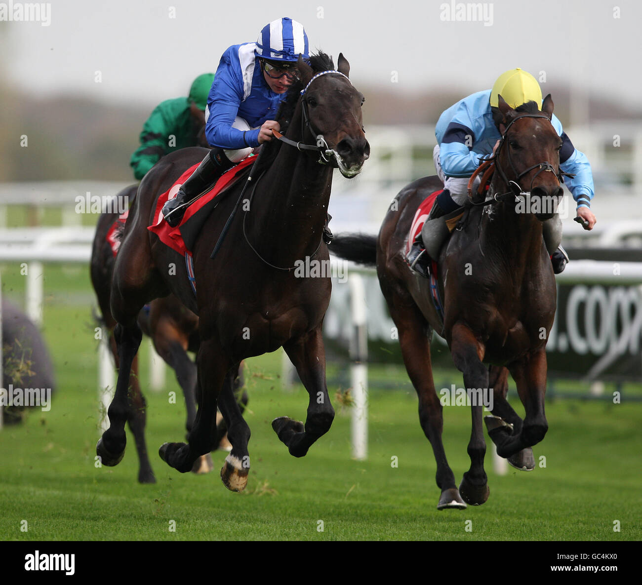 Blue horse ii hi-res stock photography and images - Alamy