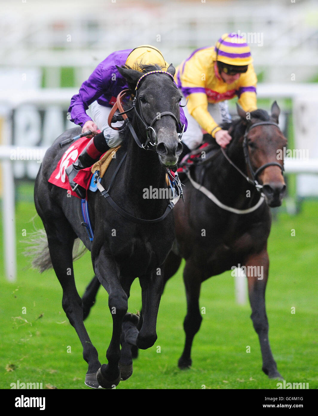 Horse Racing - The Racing Post Trophy - Day One - Doncaster Racecourse ...