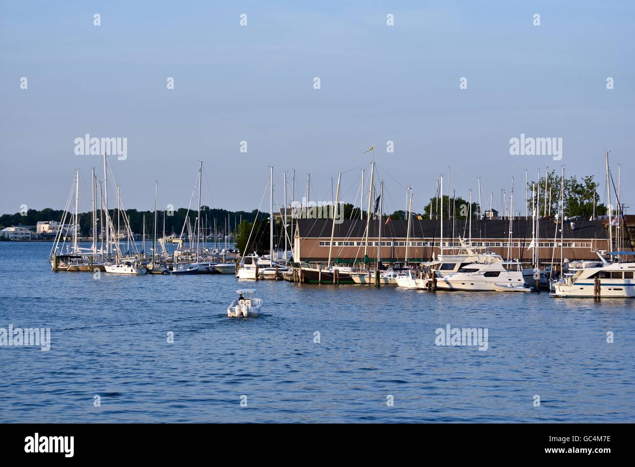 Sail boats in the Annapolis harbor Stock Photo Alamy