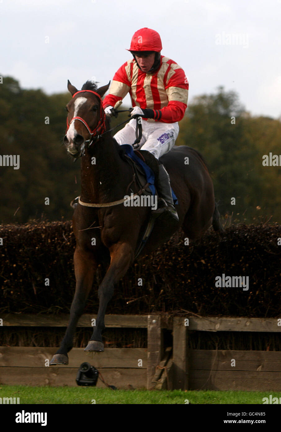 Jockey David Crosse on Satindra jumps the last in the Worcester's 2010 Season Starts May 9th Handicap Chase Stock Photo