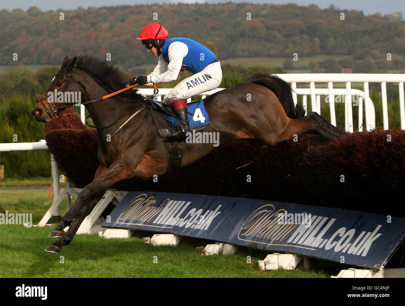 Horse Racing - Ludlow Racecourse Stock Photo - Alamy