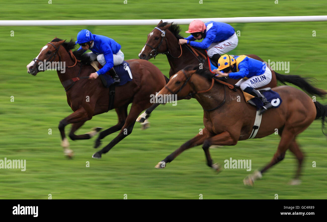 Horse Racing - Newmarket. Asraab ridden by Frankie Dettori (no1) wins the E.B.F. Prestige Vehickles Maiden Stakes Stock Photo