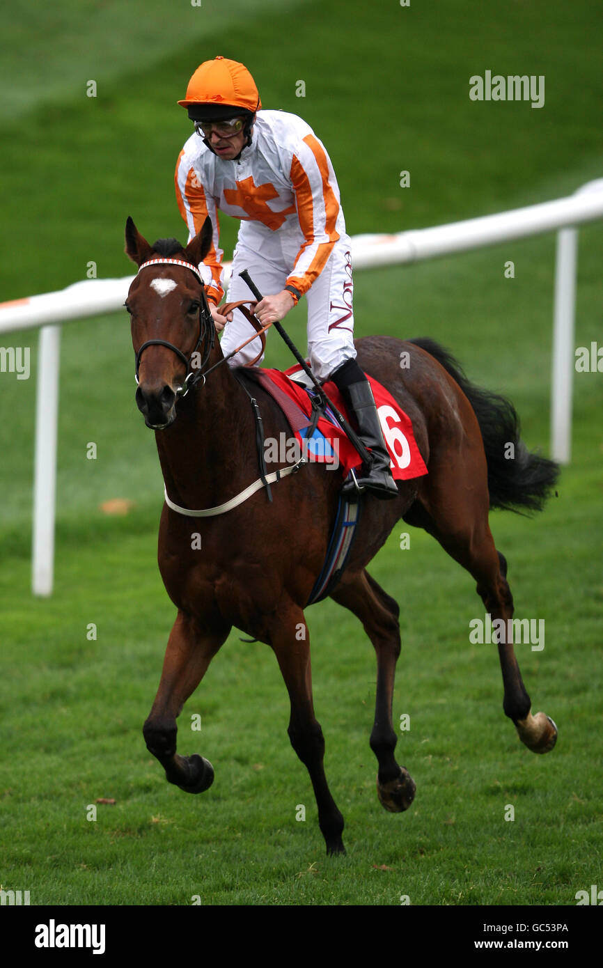 Horse racing the racing post trophy day one doncaster racecourse hi-res ...