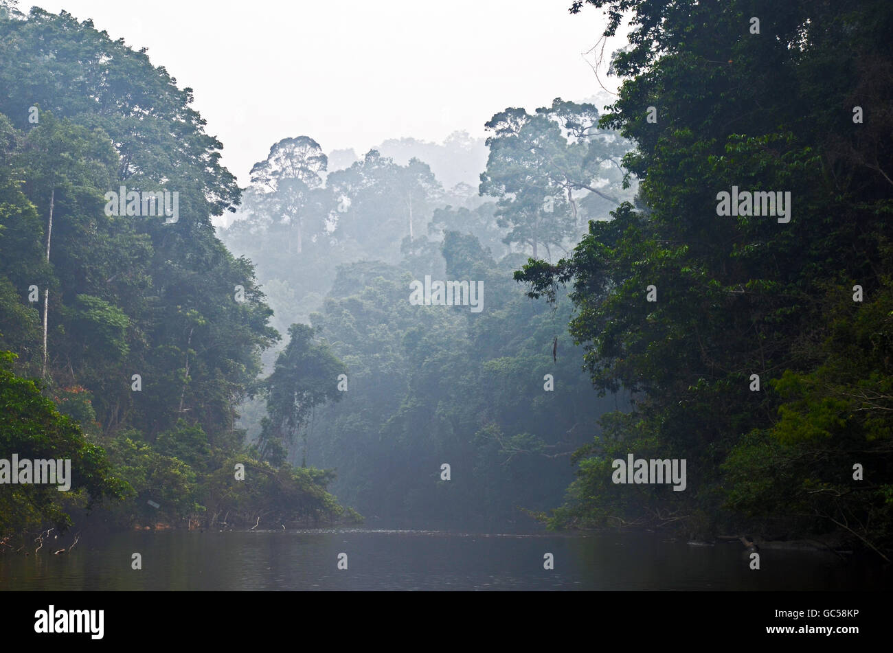Hazy jungle on the Tahan River at Lubok Simpon swimming area, Taman Negara National Park, Malaysia Stock Photo