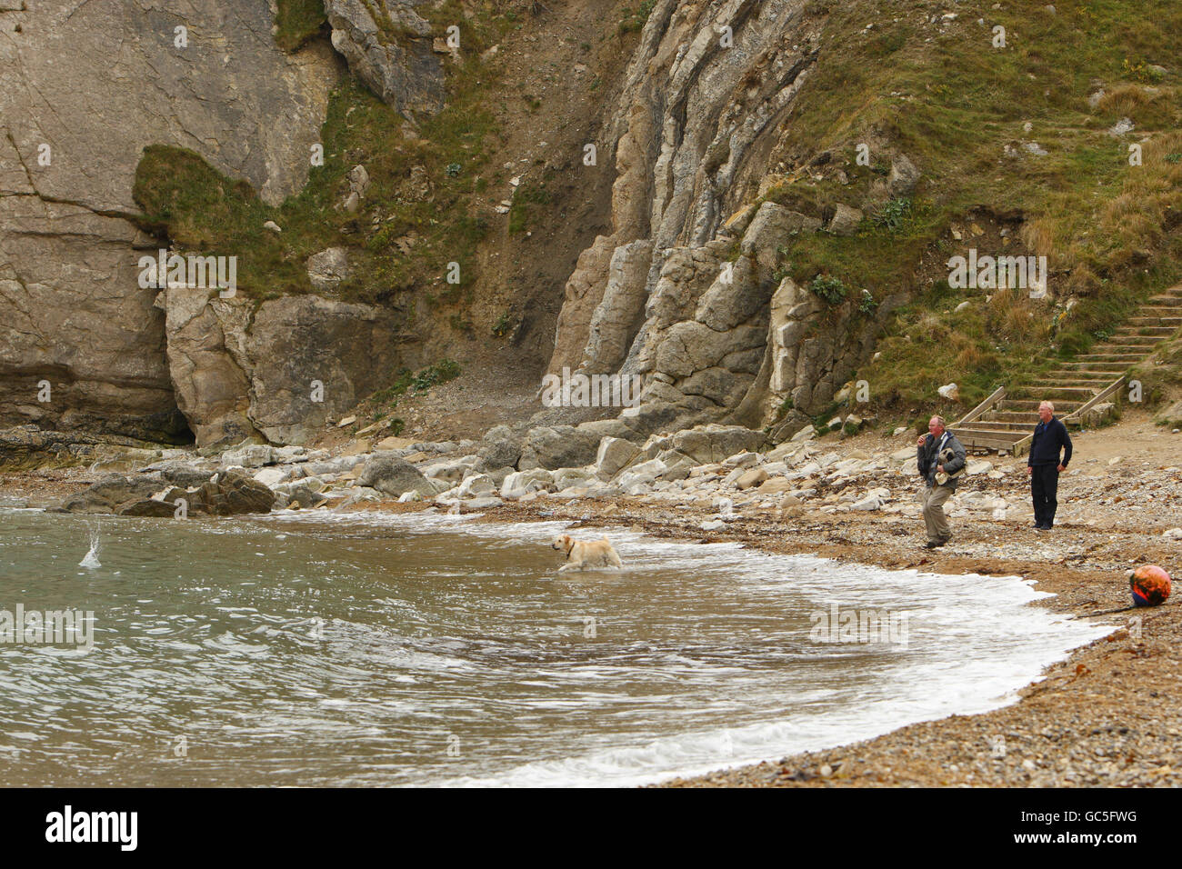 Jurassic Coast Dorset Stock Photo Alamy