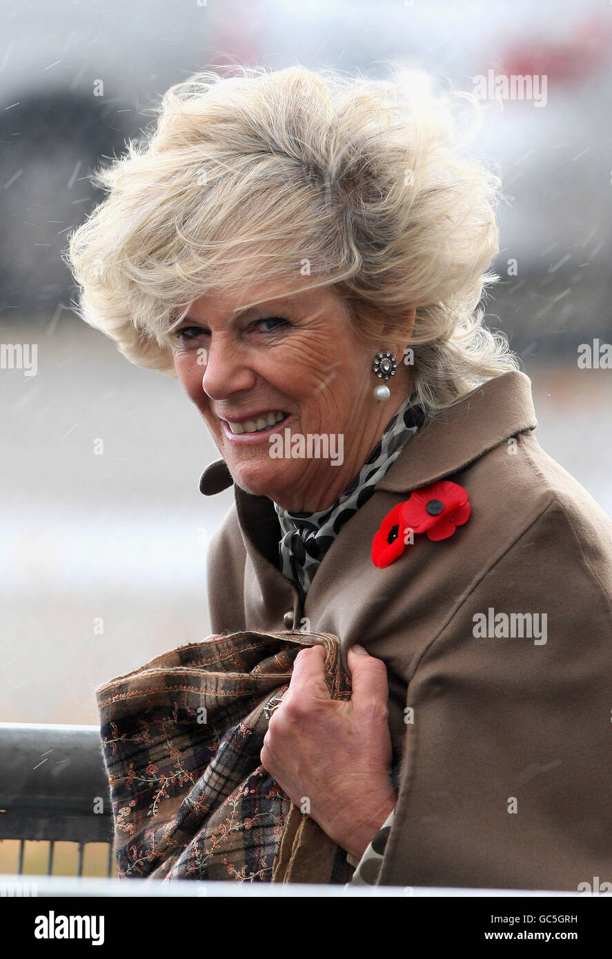 The Duchess of Cornwall boards the HMCS Haida in Hamilton, near Toronto in Canada. The Duchess learned of her Canadian roots today as she continues her tour of the North American country with the Prince of Wales. Stock Photo