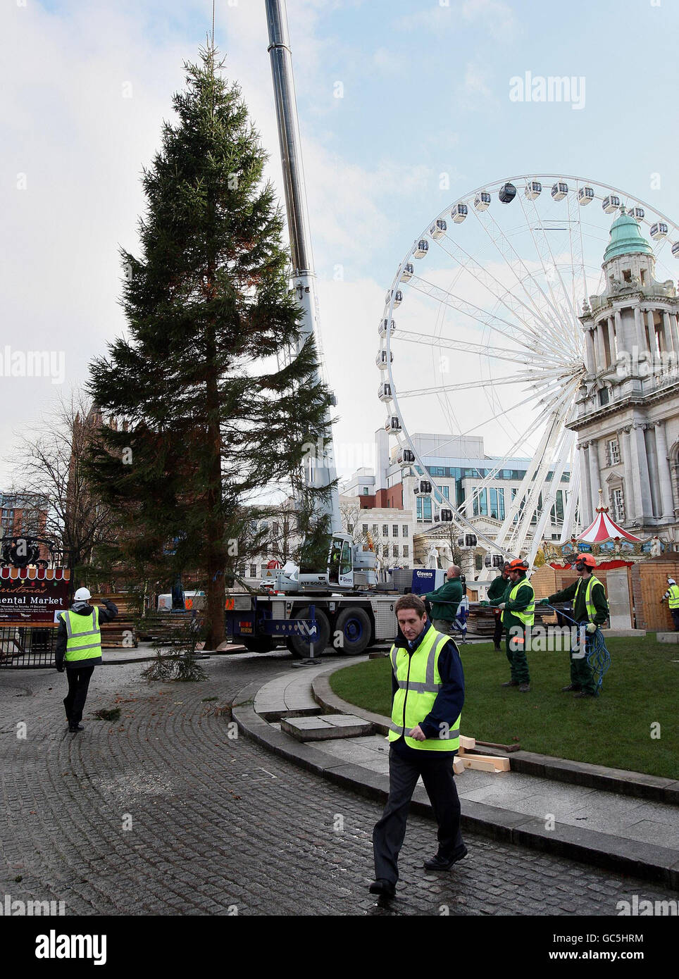 Belfast Christmas tree installed Stock Photo Alamy