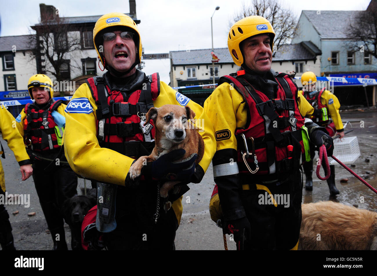 Amazing rescue. Amazing rescue