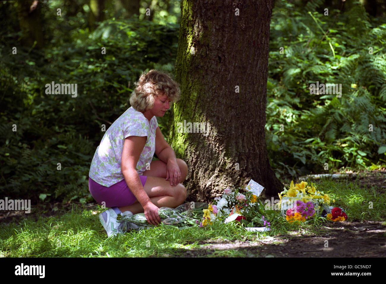 WIMBLEDON COMMON MURDER Stock Photo Alamy