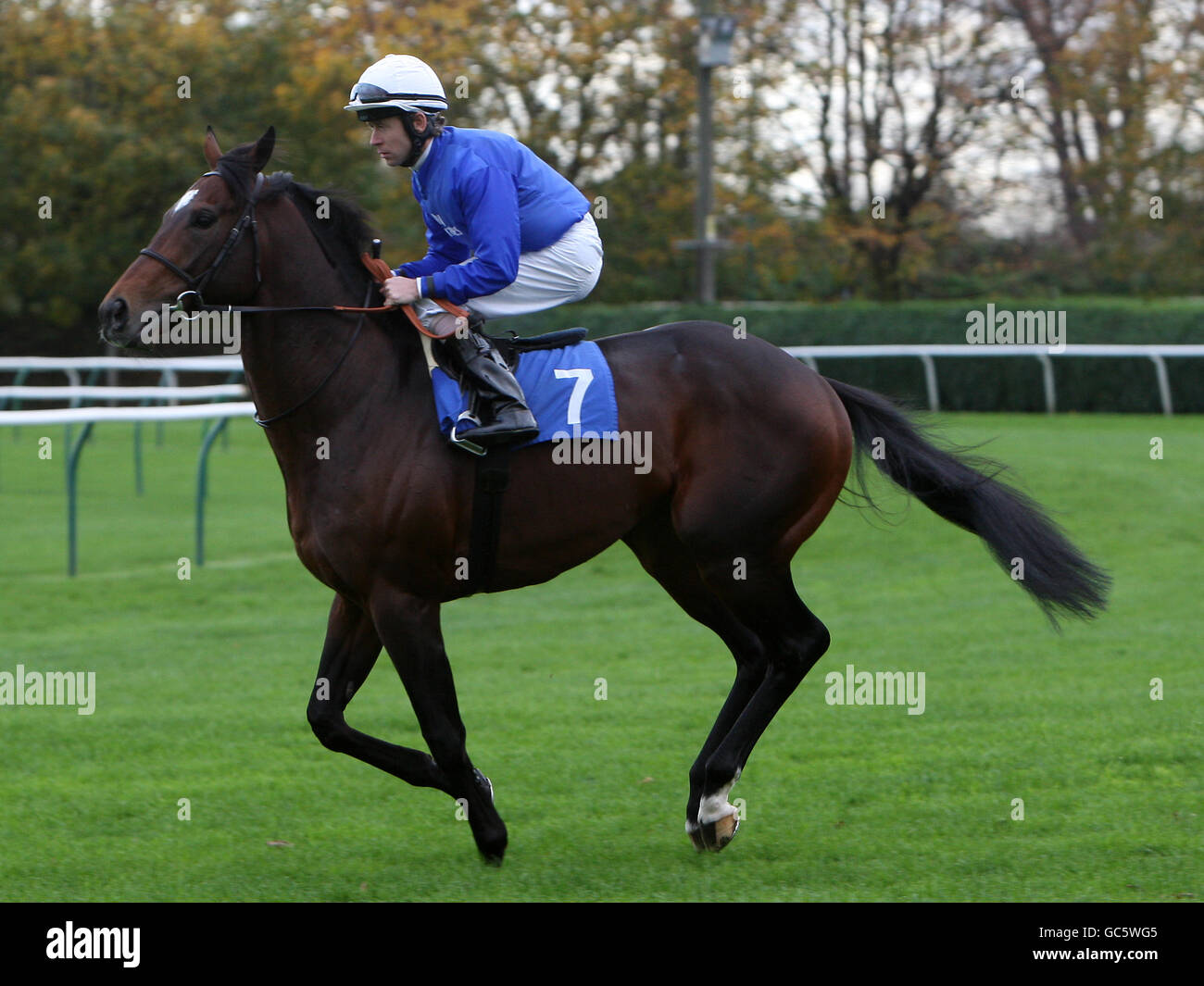Daragh hand hi-res stock photography and images - Alamy
