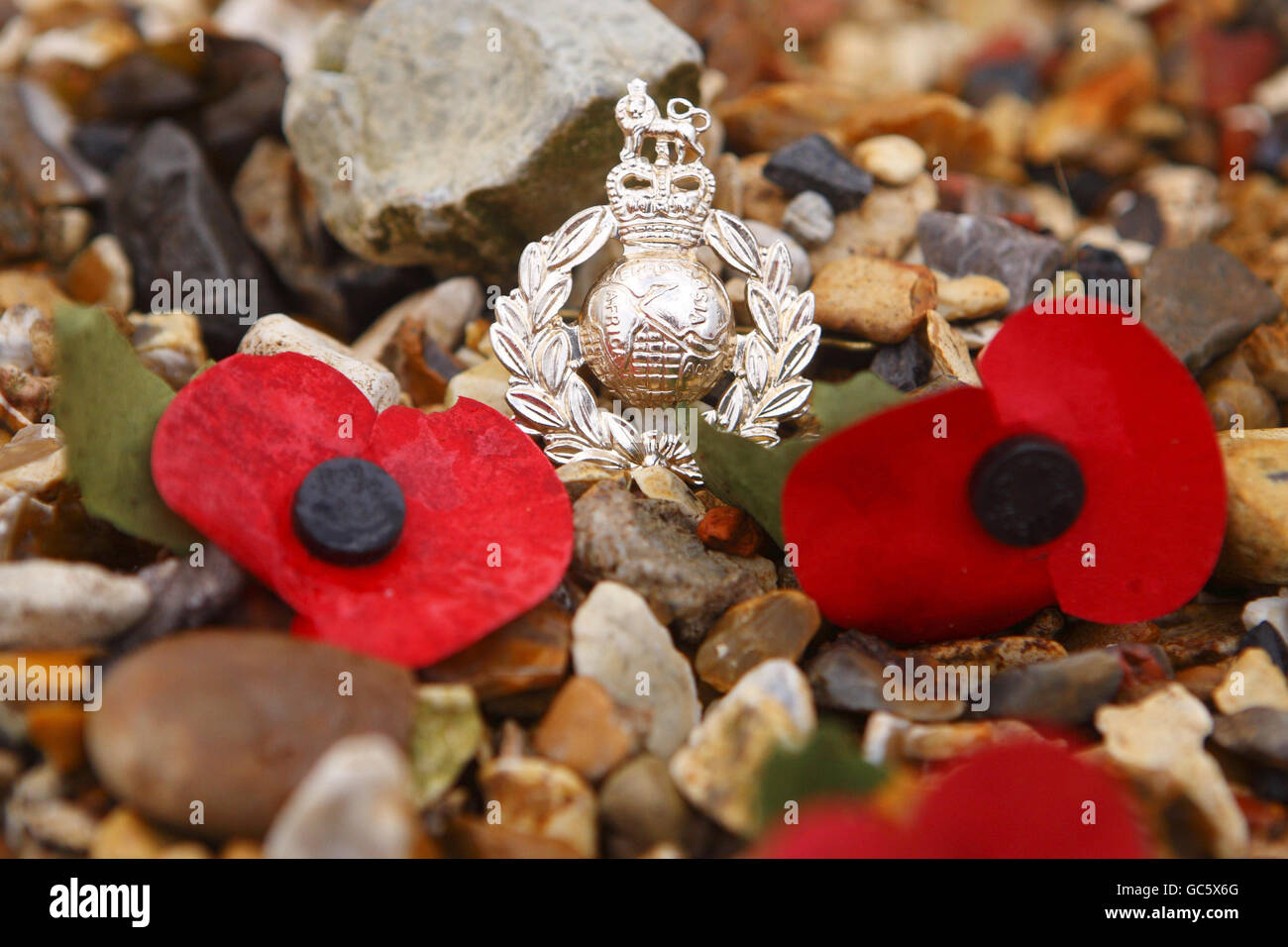 A Royal Marines cap badge sits between poppies left at a memorial built by Willie Goldfinch to honour soldiers who have died in Iraq and Afghanistan on the beach at Langstone Harbour in Portsmouth. Stock Photo