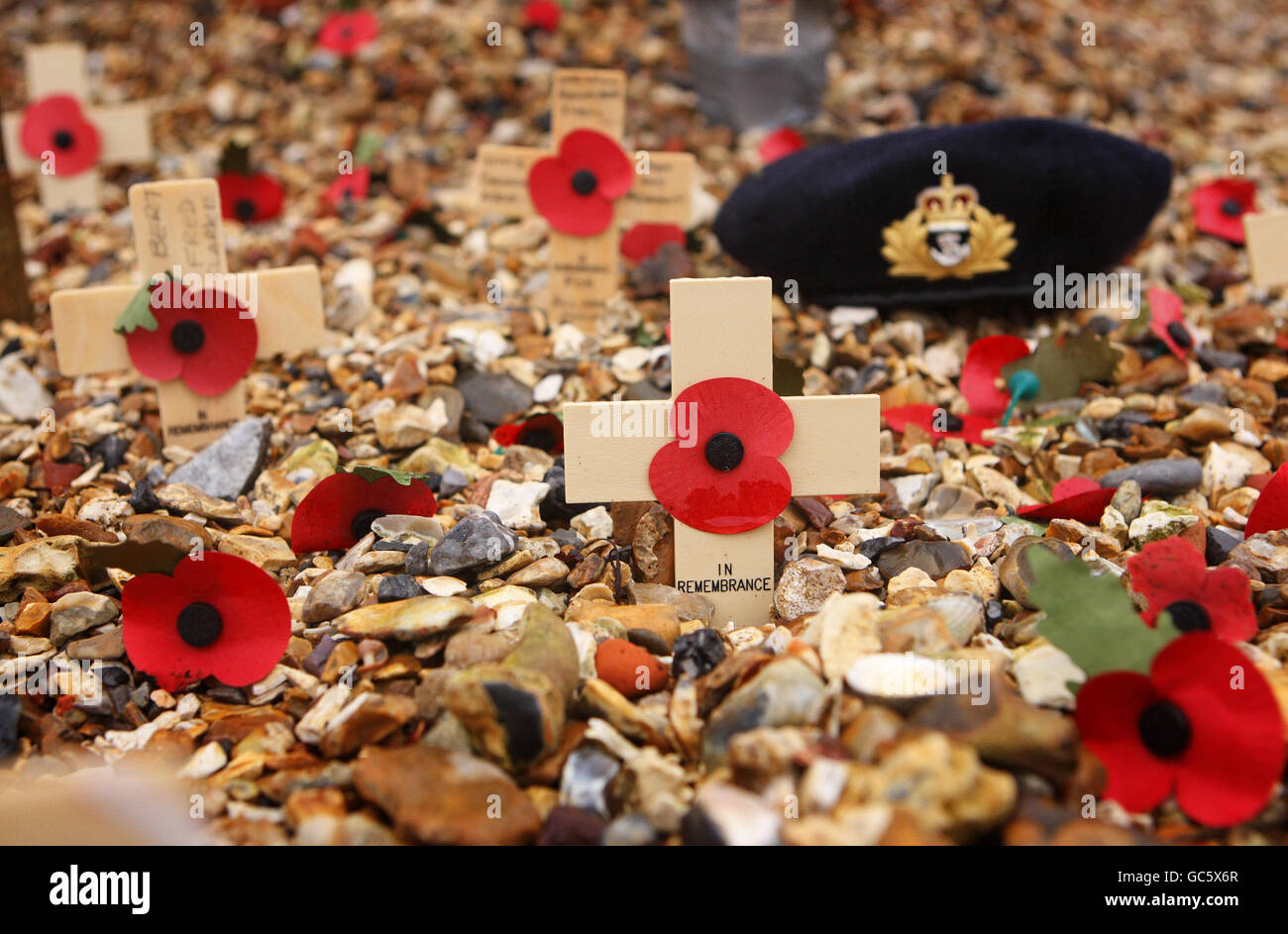 Armistice Day events Stock Photo Alamy