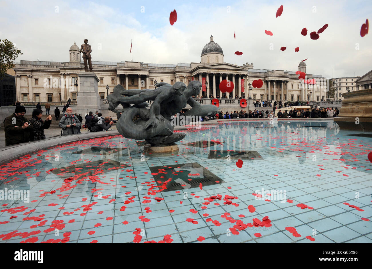 Paper poppies are thrown into a fountain at Trafalgar Square, London, following a public Remembrance Day concert and poetry reading hosted by the Royal British Legion. Stock Photo