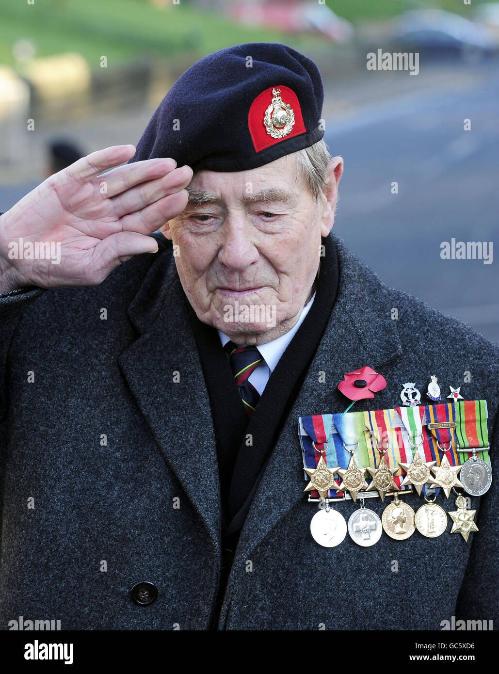 Second World War veteran Bernard Hallas pays his tribute after the Armistice Day service at the war memorial in York. Stock Photo