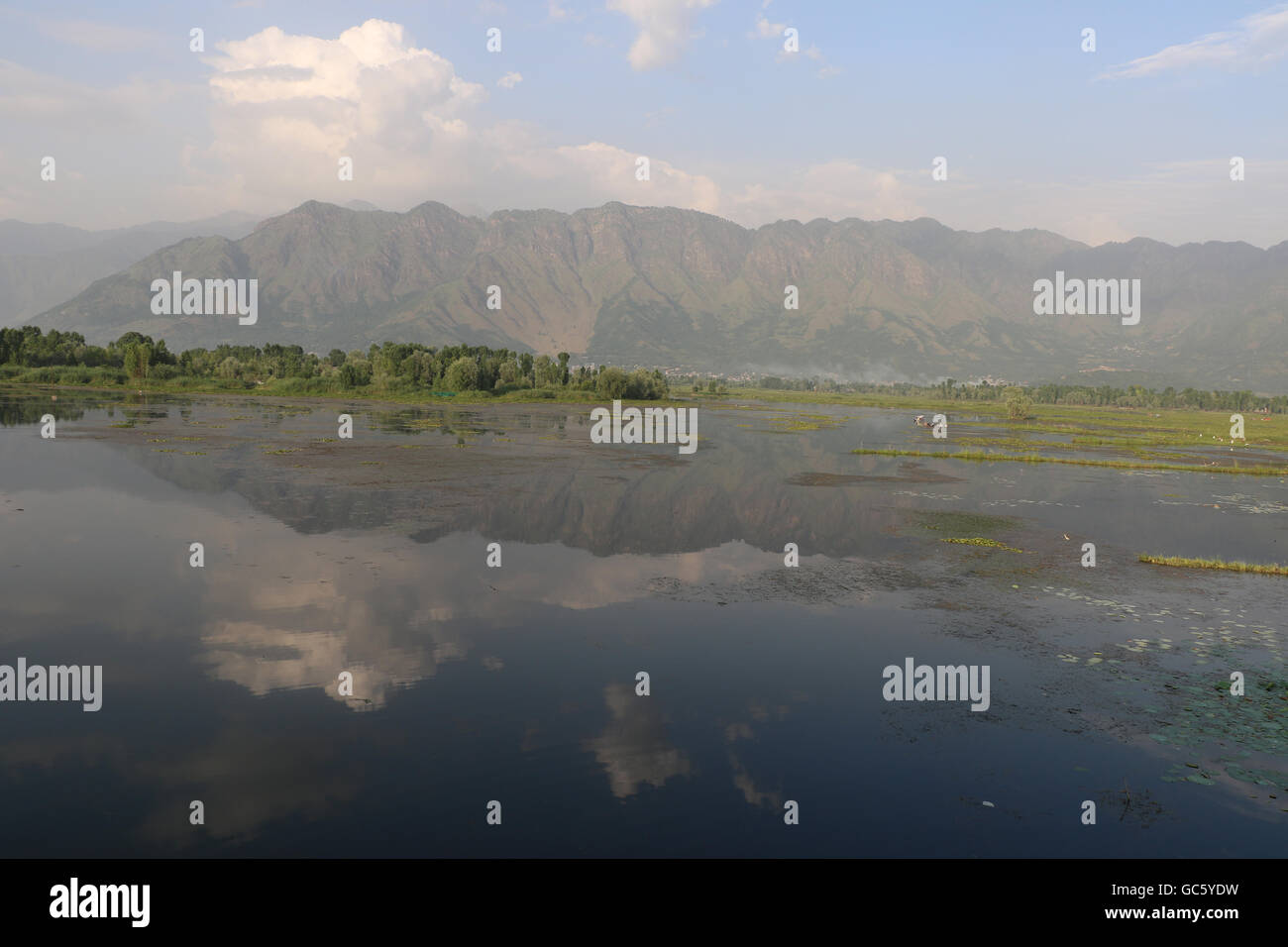 Dal Lake Kashmir Stock Photo - Alamy
