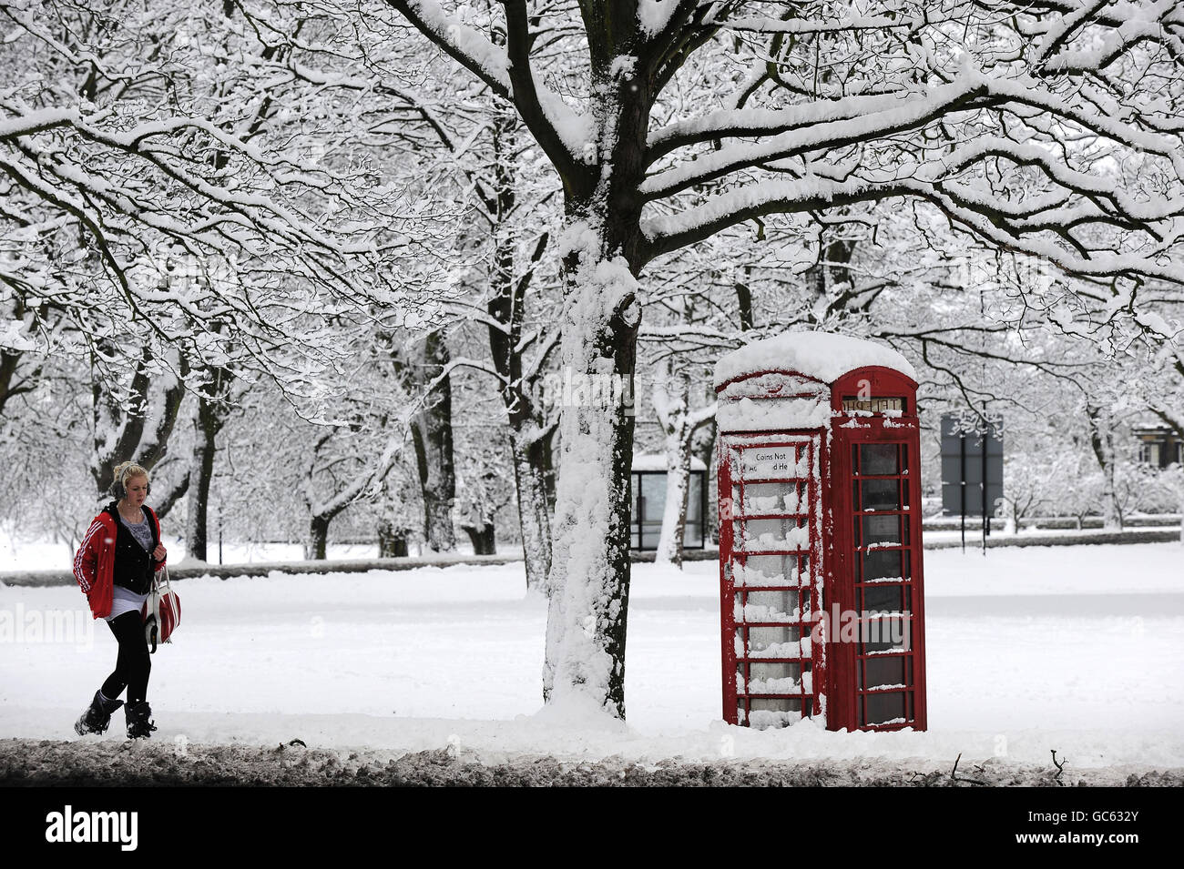 Deep snow lies in Harrogate today as heavy snowfalls continue across most parts of the UK. Stock Photo