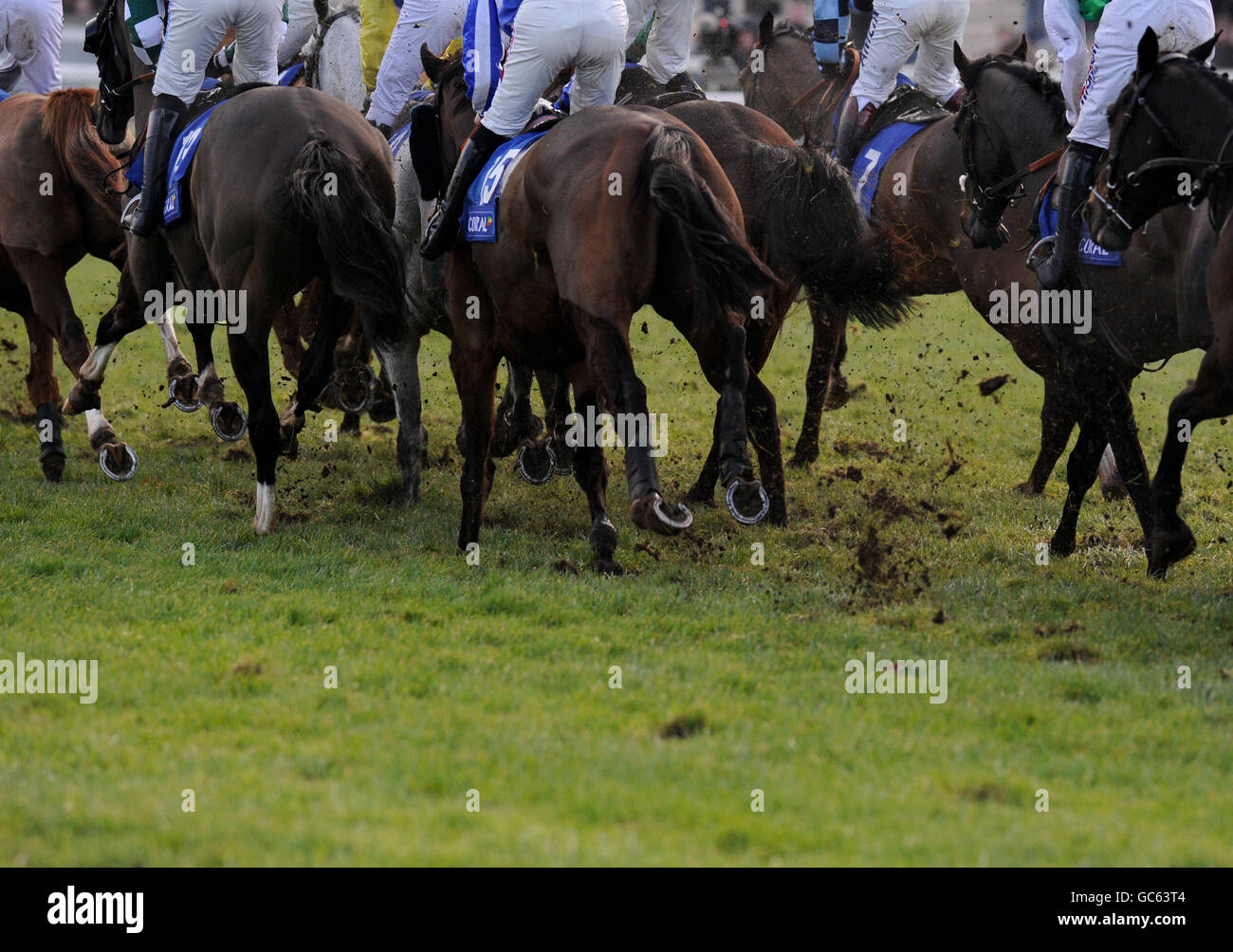 Horse Racing - The Coral Welsh National - Chepstow Racecourse Stock Photo
