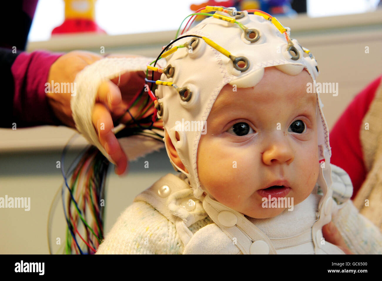 Four-month-old Matai Reid takes part in research by Durham University at the Stockton-on-Tees campus to study the development of babies brains. The research is trying to get a better understanding of how autism might occur. Stock Photo