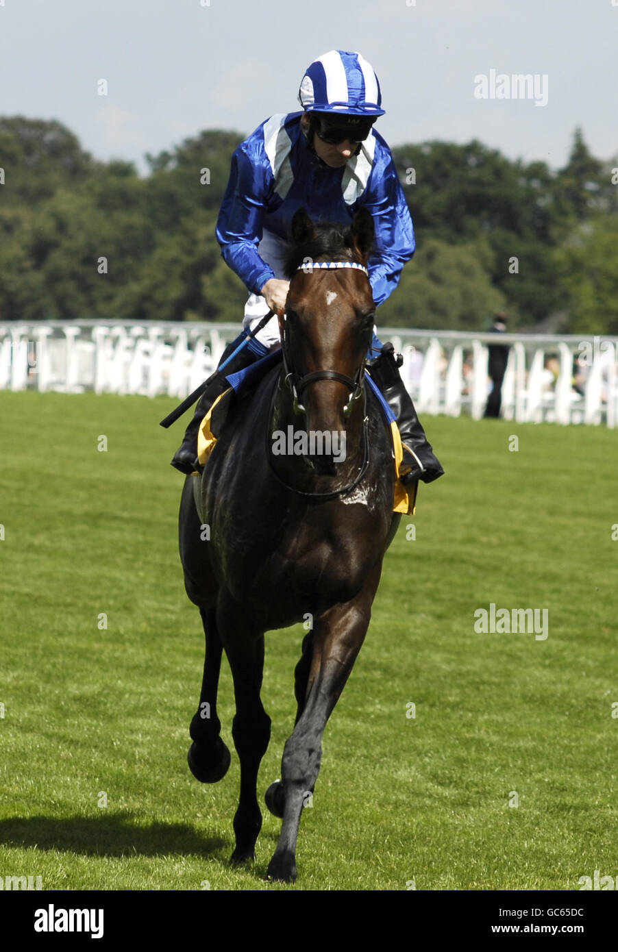 Alwaary ridden by Richard Hill going to post for the King George VI And Queen Elizabeth Stakes at Ascot Racecourse Stock Photo