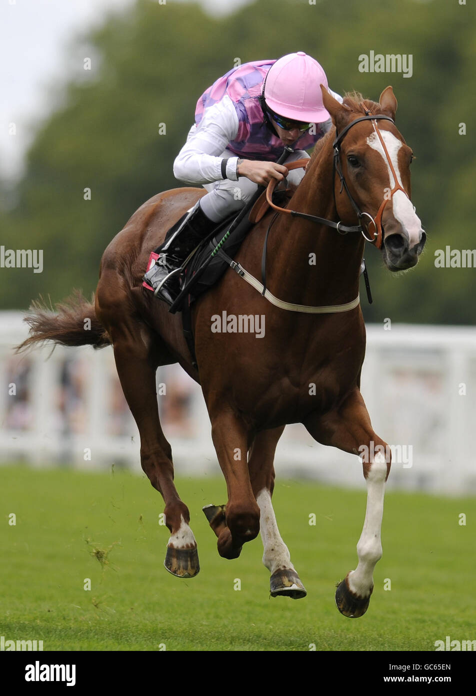Espiritu ridden by Johnny Murtagh during the Emirates NBD Cup Heritage Handicap at Ascot Racecourse Stock Photo