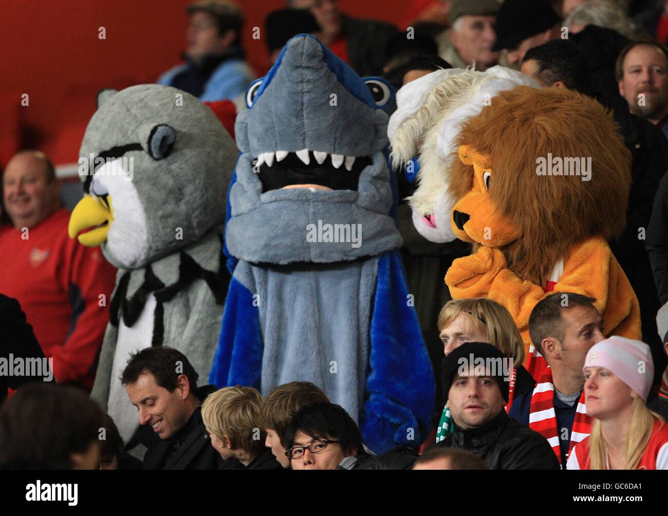 Standard liege fans hires stock photography and images Alamy