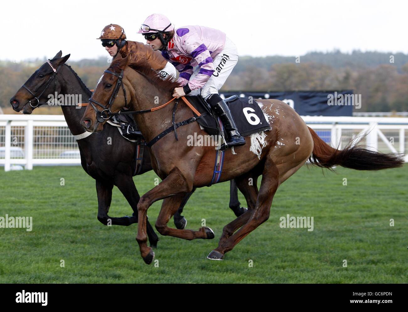 Red Harbour ridden by Christian Williams during the Nicholas Cunningham Memorial National Hunt Novices Hurdle during the Allied Irish Bank Meeting at Ascot Racecourse, Ascot. Stock Photo