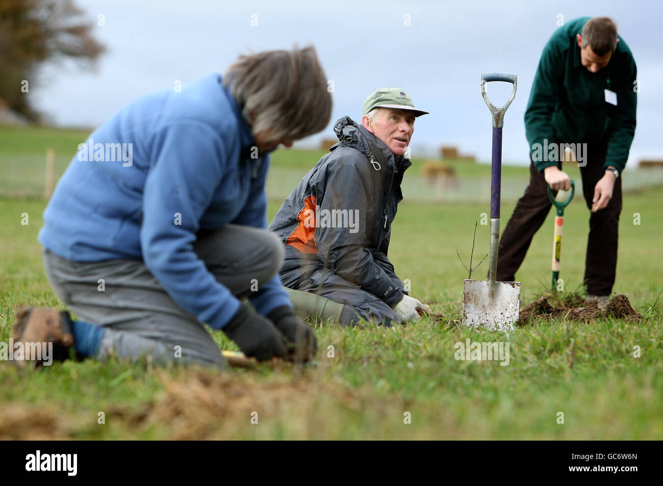 Plant the first tree at heartwood forest hires stock photography and