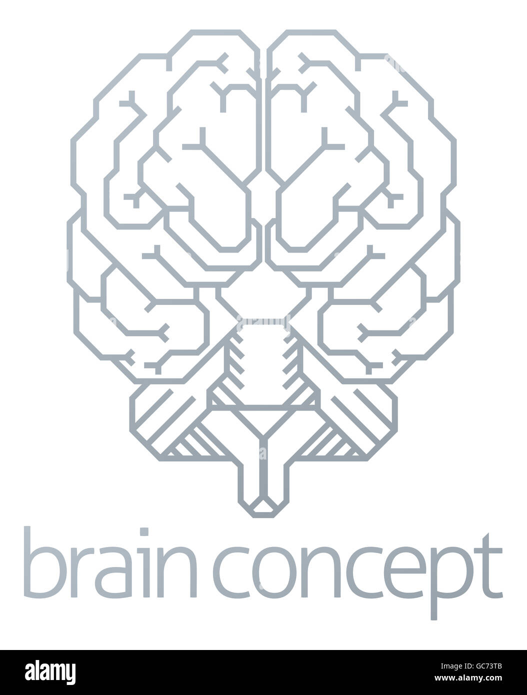A conceptual illustration of a stylised brain from the front Stock Photo