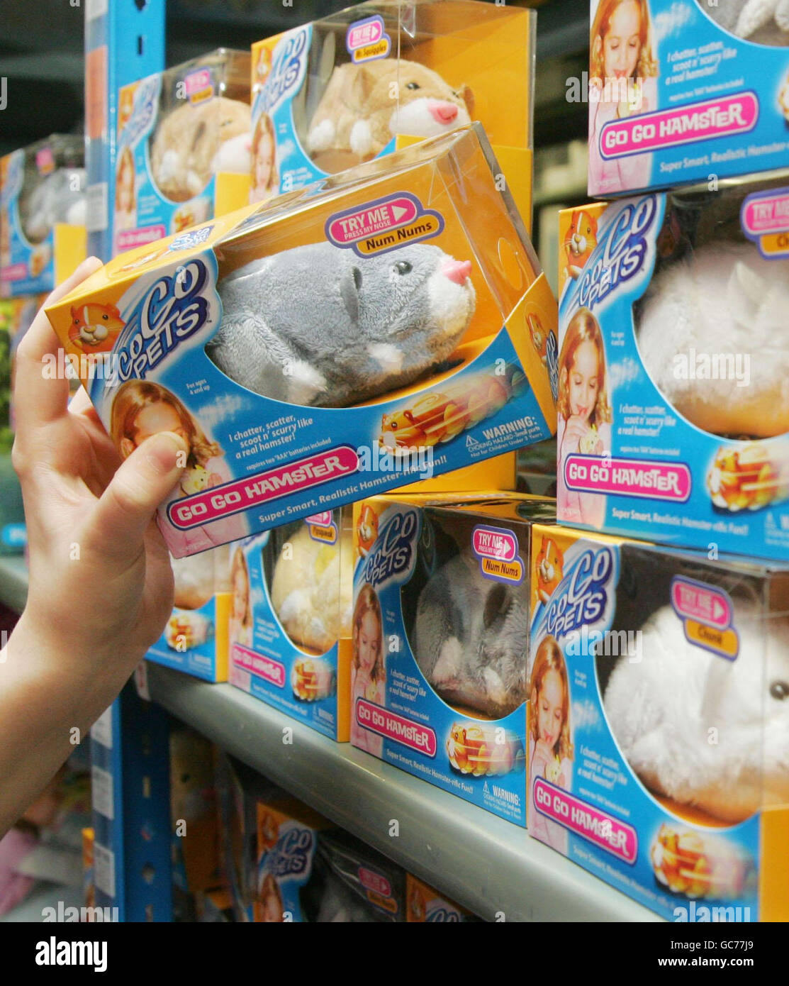 Steph Scarlet, an employee at the Argos store on Humphrey Street in south east London, loads the shelves with stocking filler trend Go Go Hamsters, one of Argos' Top Ten Toys for Christmas. Stock Photo