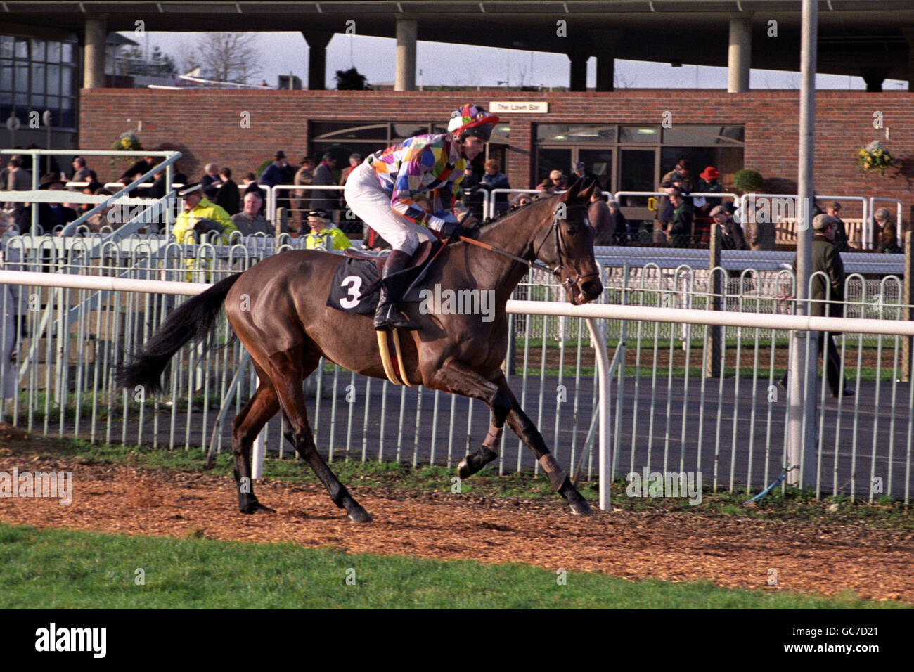 RACE HORSE OH SO RISKY. RACE HORSE OH SO RISKY WITH P HOLLEY UP Stock ...