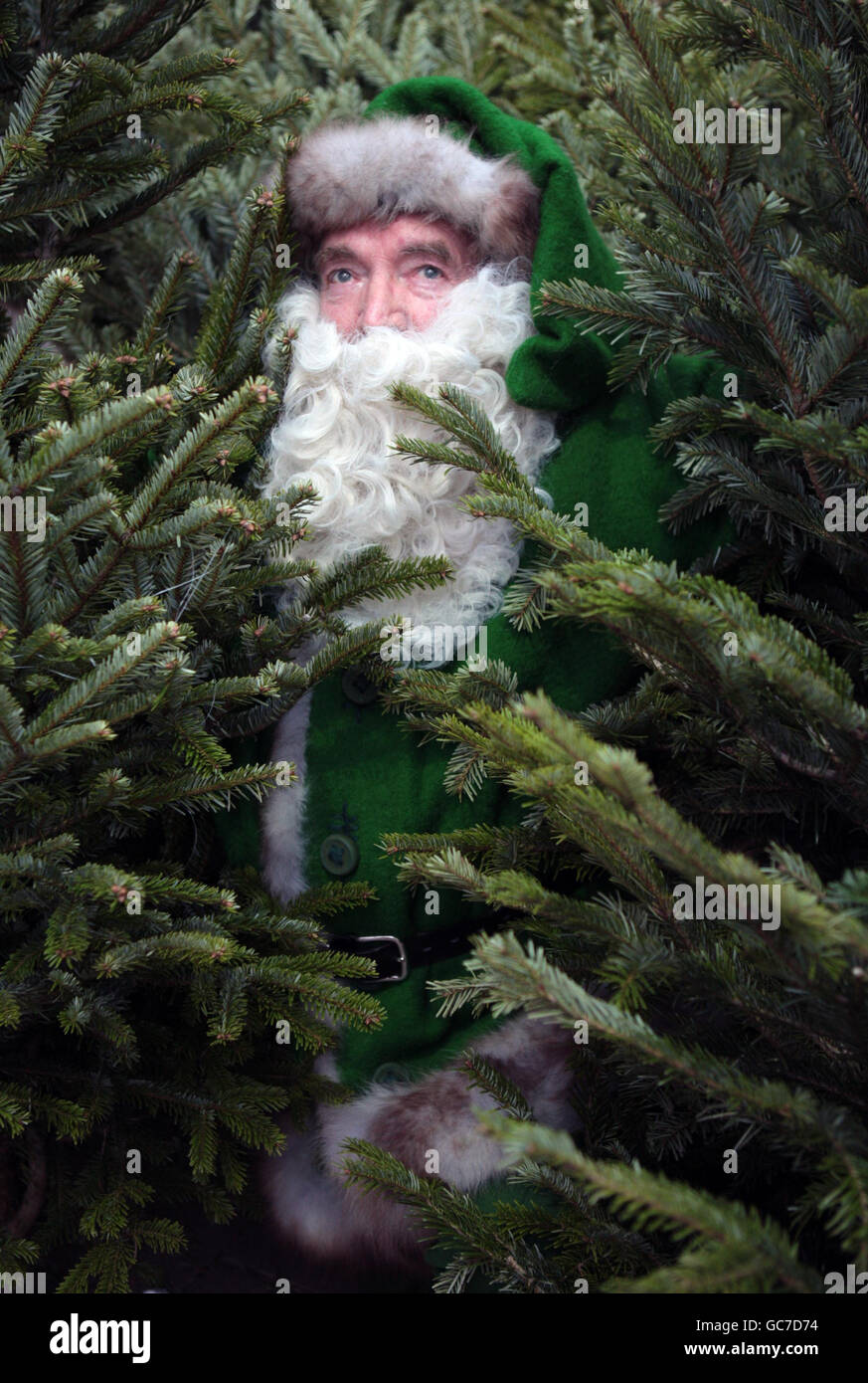 Christmas at Dobbies Garden World Scotland Stock Photo Alamy