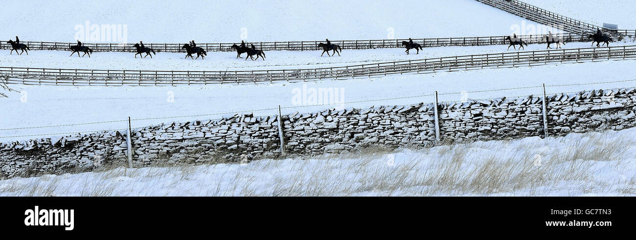 With horse racing in the UK badly hit by the severe weather the gallops at Middleham took on a Christmas card look today as the Pennines surrounding the gallops were covered with deep snow. Stock Photo