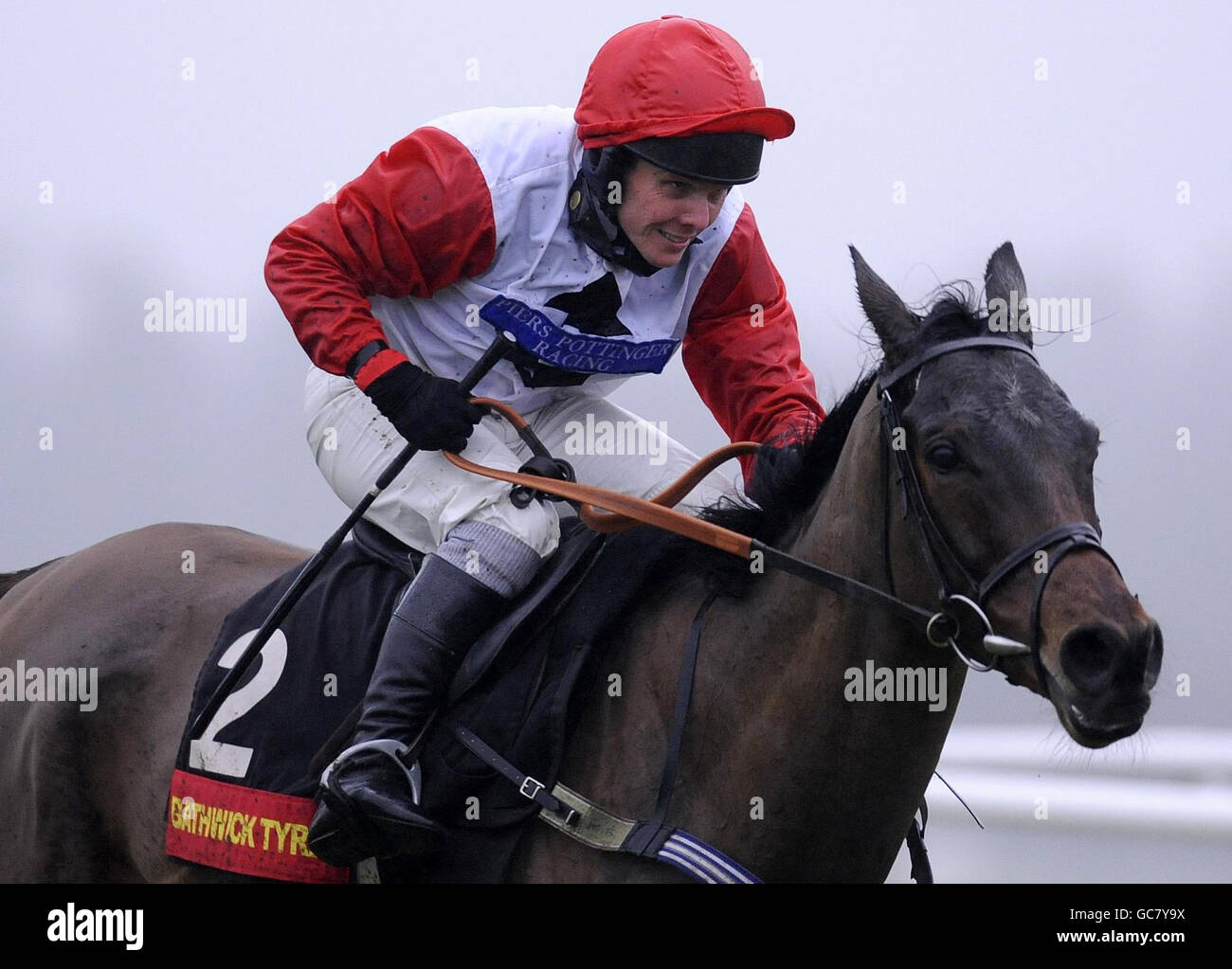 Horse Racing - HEROS Charity Challow Hurdle Day - Newbury Racecourse Stock Photo