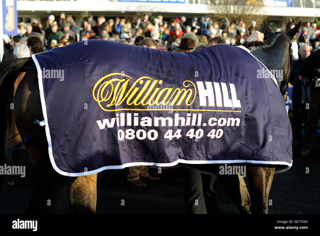 Horse Racing - William Hill Winter Festival 2009 - Day One - Kempton Park Racecourse. William Hill signage on the vest of a horse Stock Photo