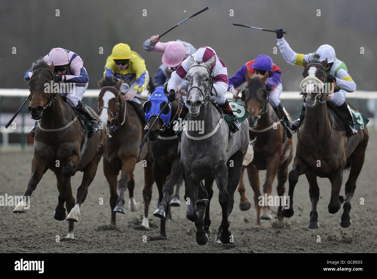 Tanley and Jimmy Quinn (grey horse, centre) win The Bet Test Match Cricket - Betdaq Handicap Stakes at Lingfield Racecourse, Lingfield. Stock Photo