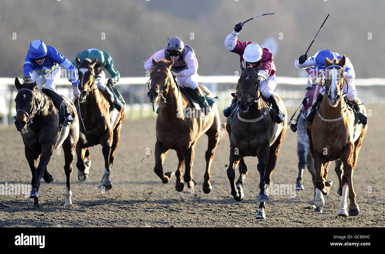 Horse Racing - Lingfield Racecourse Stock Photo