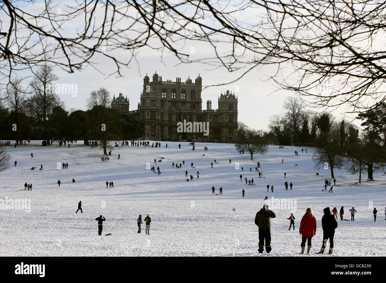 People sledging in Wollaton Park, Nottingham as the cold snap continues in the UK. Stock Photo