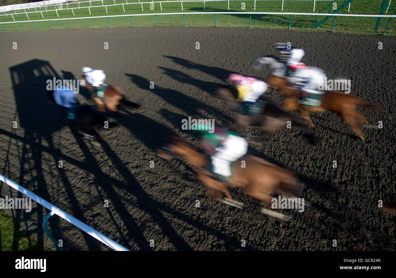Runners and riders make their way past the finishing post at Lingfield Stock Photo