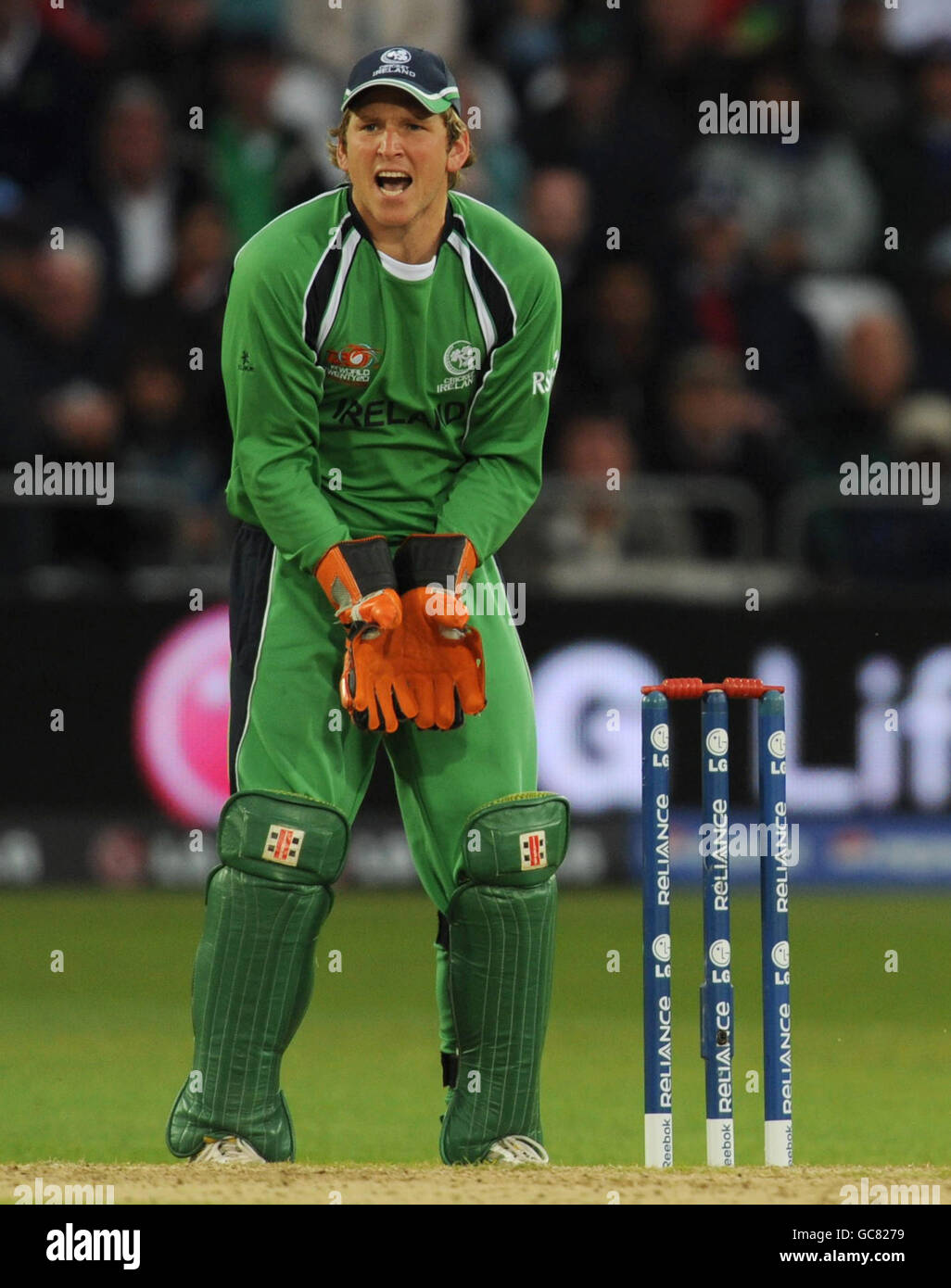 Ireland's wicketkeeper Gary Wilson shouts at the fielders during the