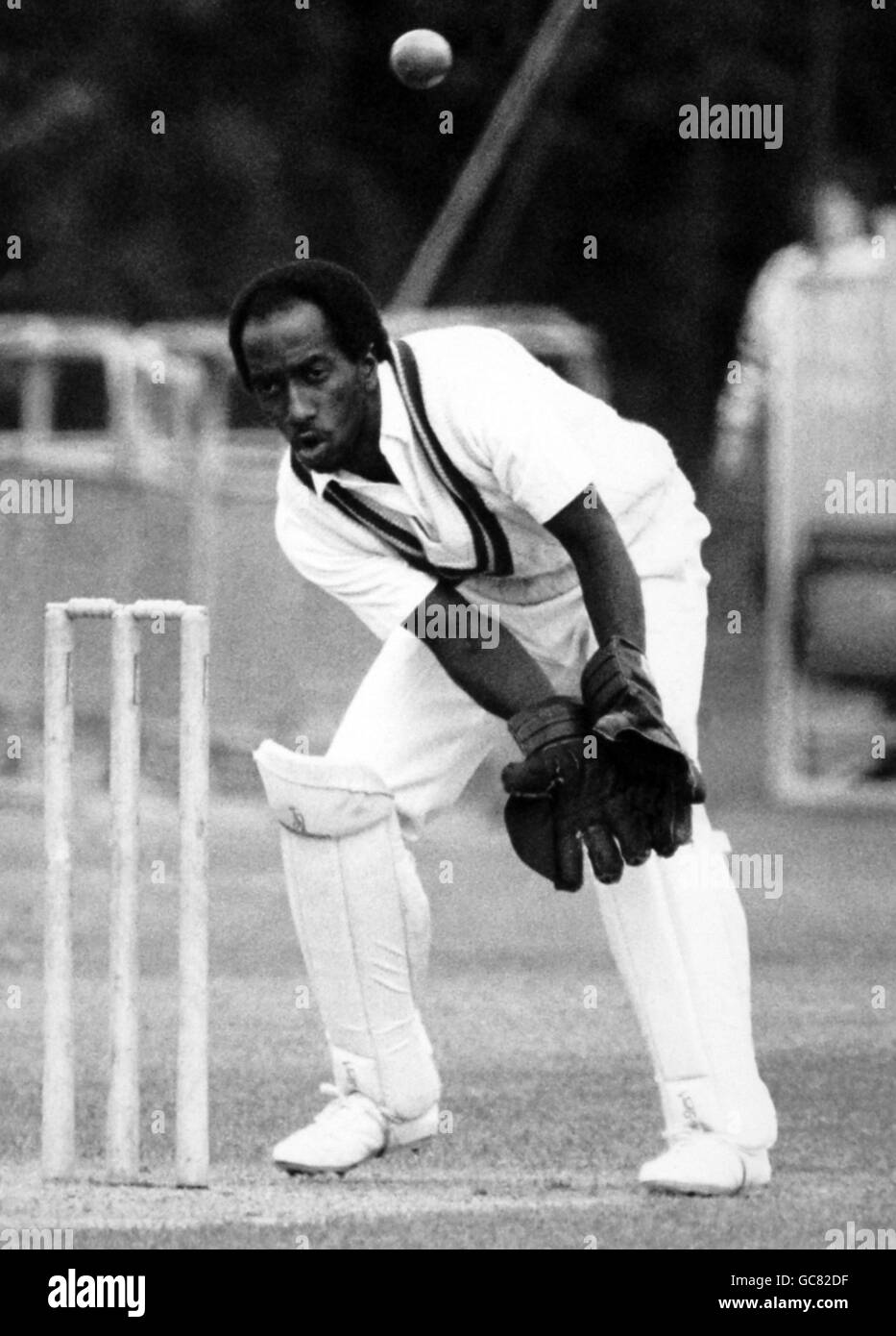 West Indies Wicket- keeper David Williams in action Stock Photo - Alamy