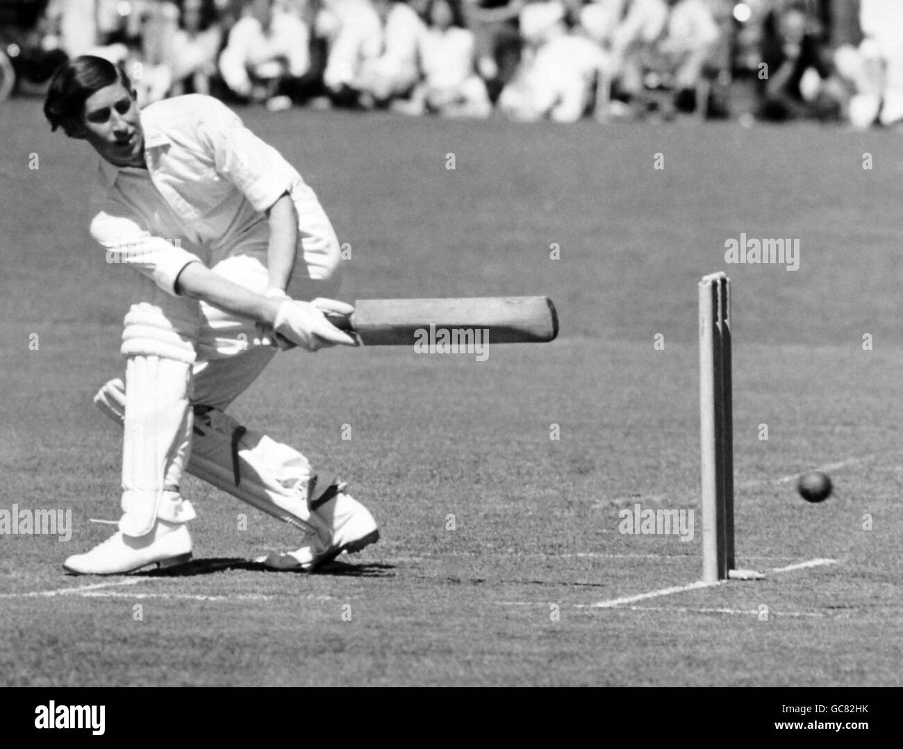 Cricket Charity Stock Photo Alamy