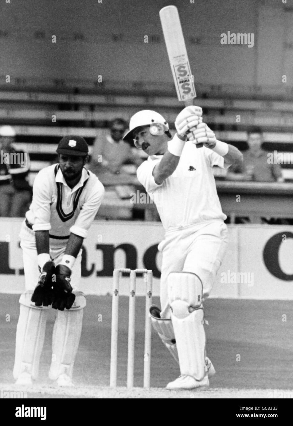 Full length players playing cricket playground mangbk cricprints pabox1