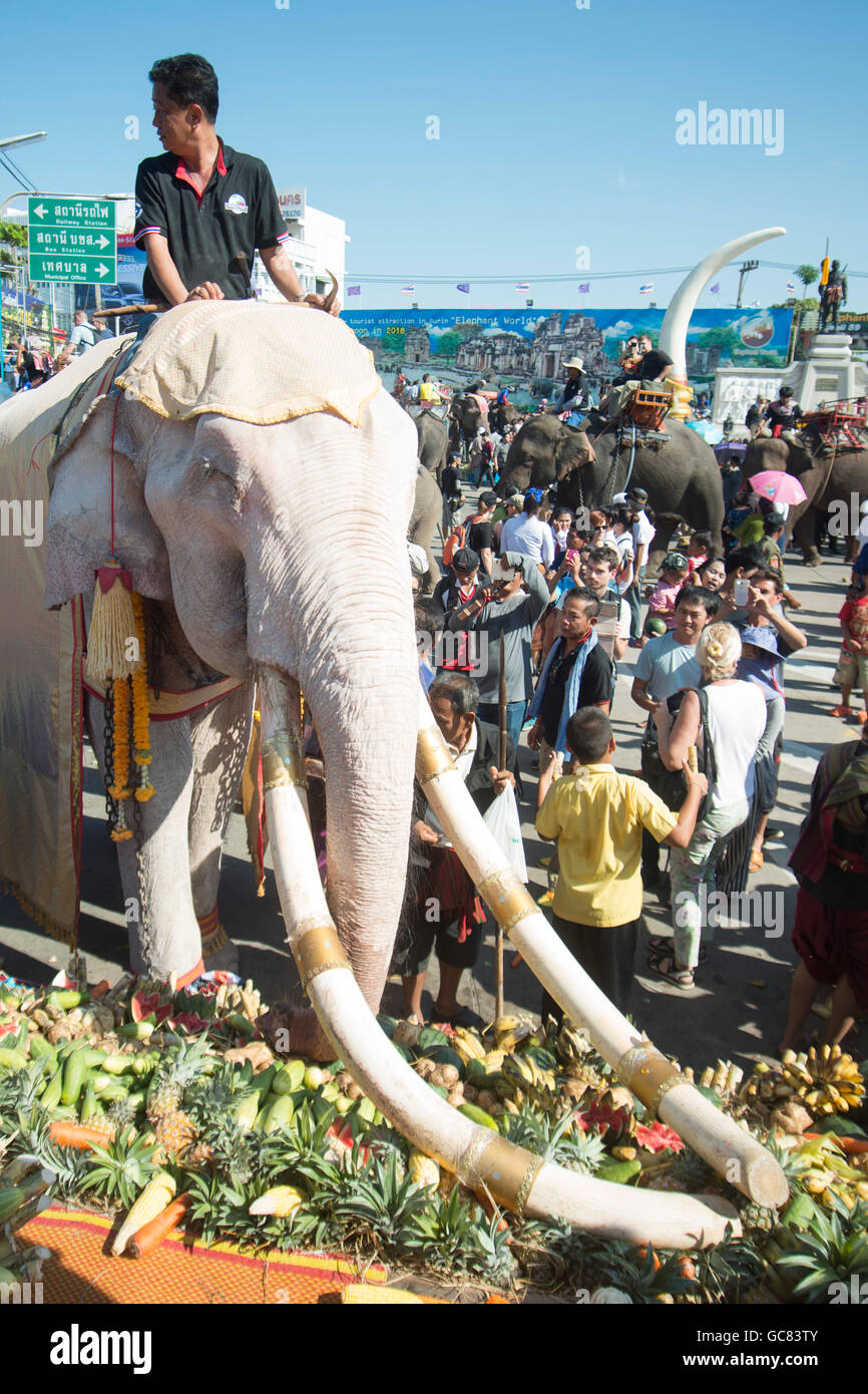 https://c8.alamy.com/comp/GC83TY/one-of-the-few-white-elephant-at-the-elephant-round-up-festival-in-GC83TY.jpg
