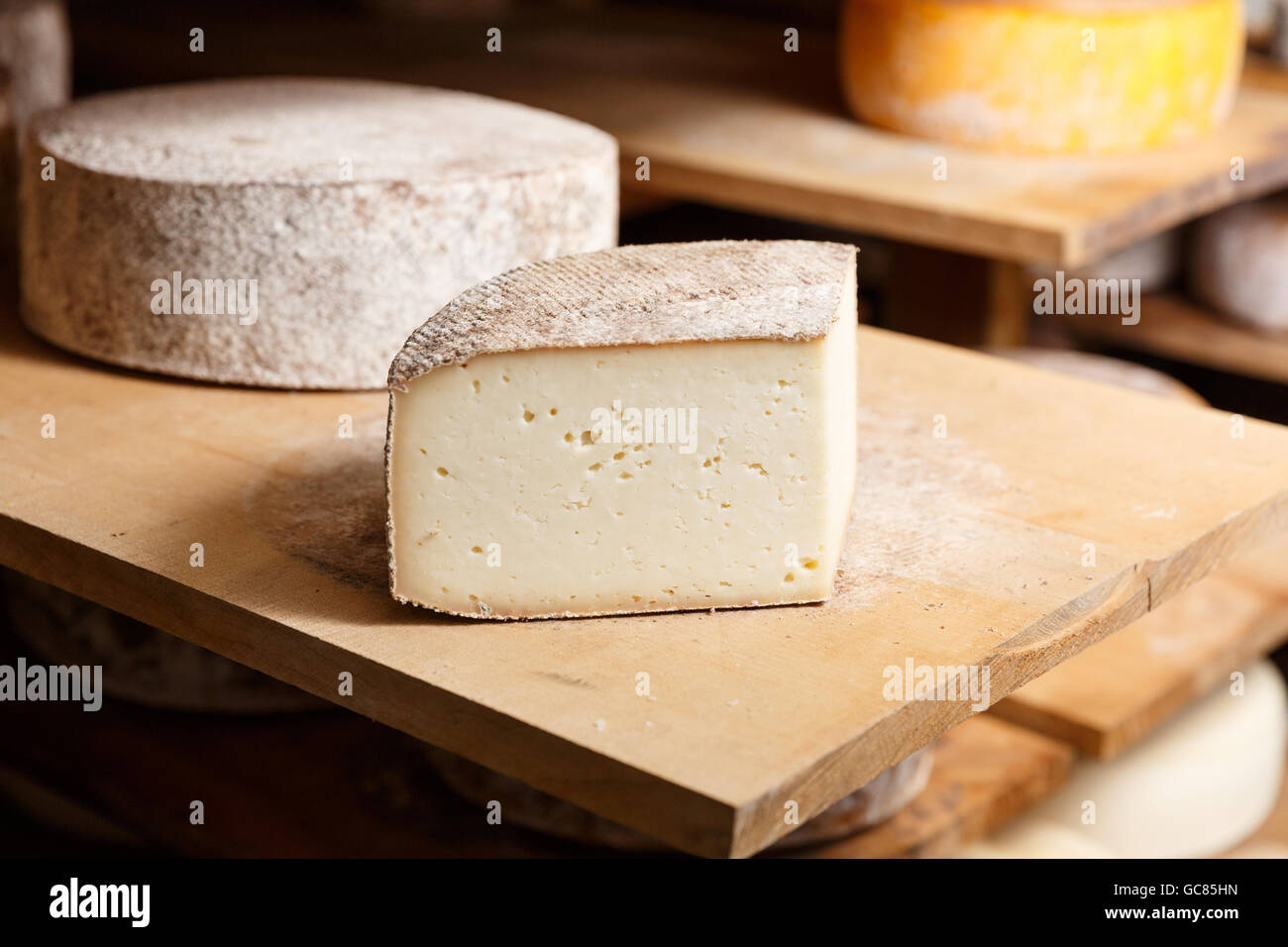 A piece of goat cheese head on a wooden shelf in a cellar in a private farm. Cheese manufacture Stock Photo
