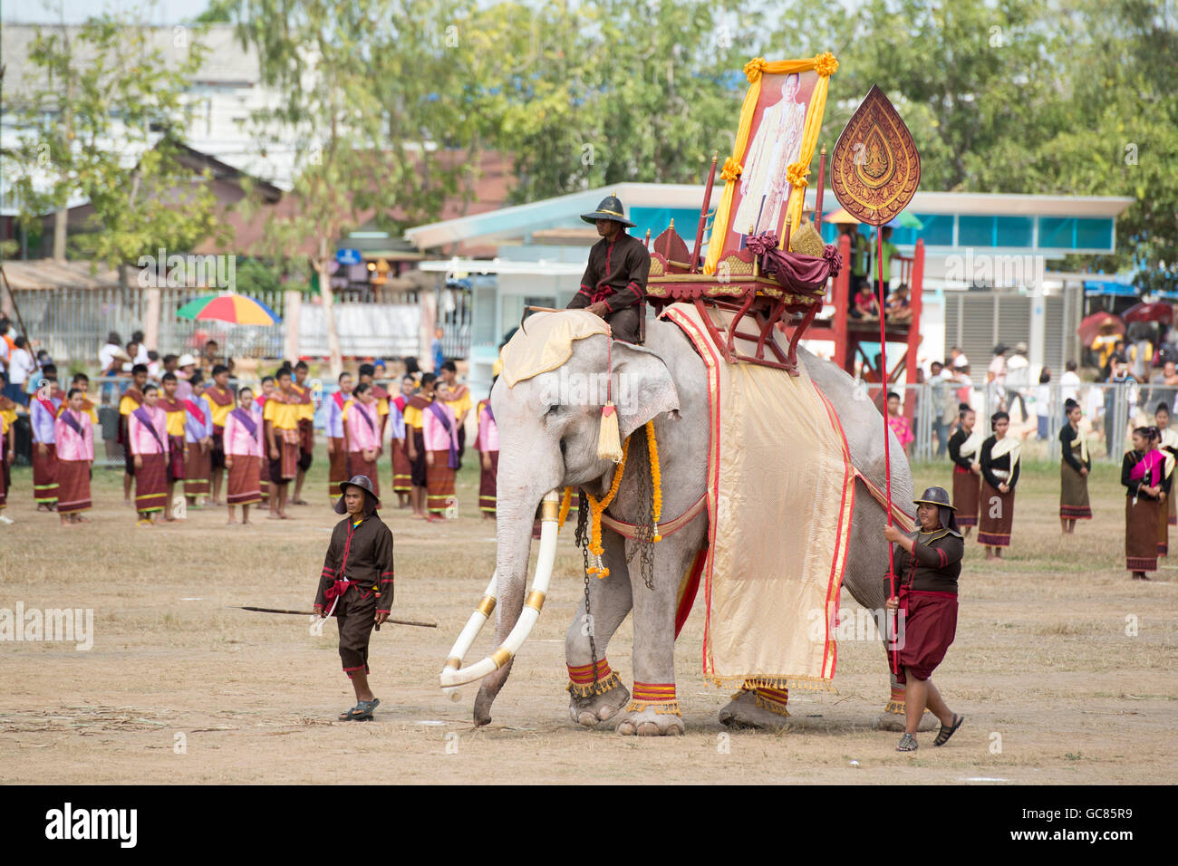 https://c8.alamy.com/comp/GC85R9/one-of-the-few-white-elephant-at-the-elephant-round-up-festival-in-GC85R9.jpg