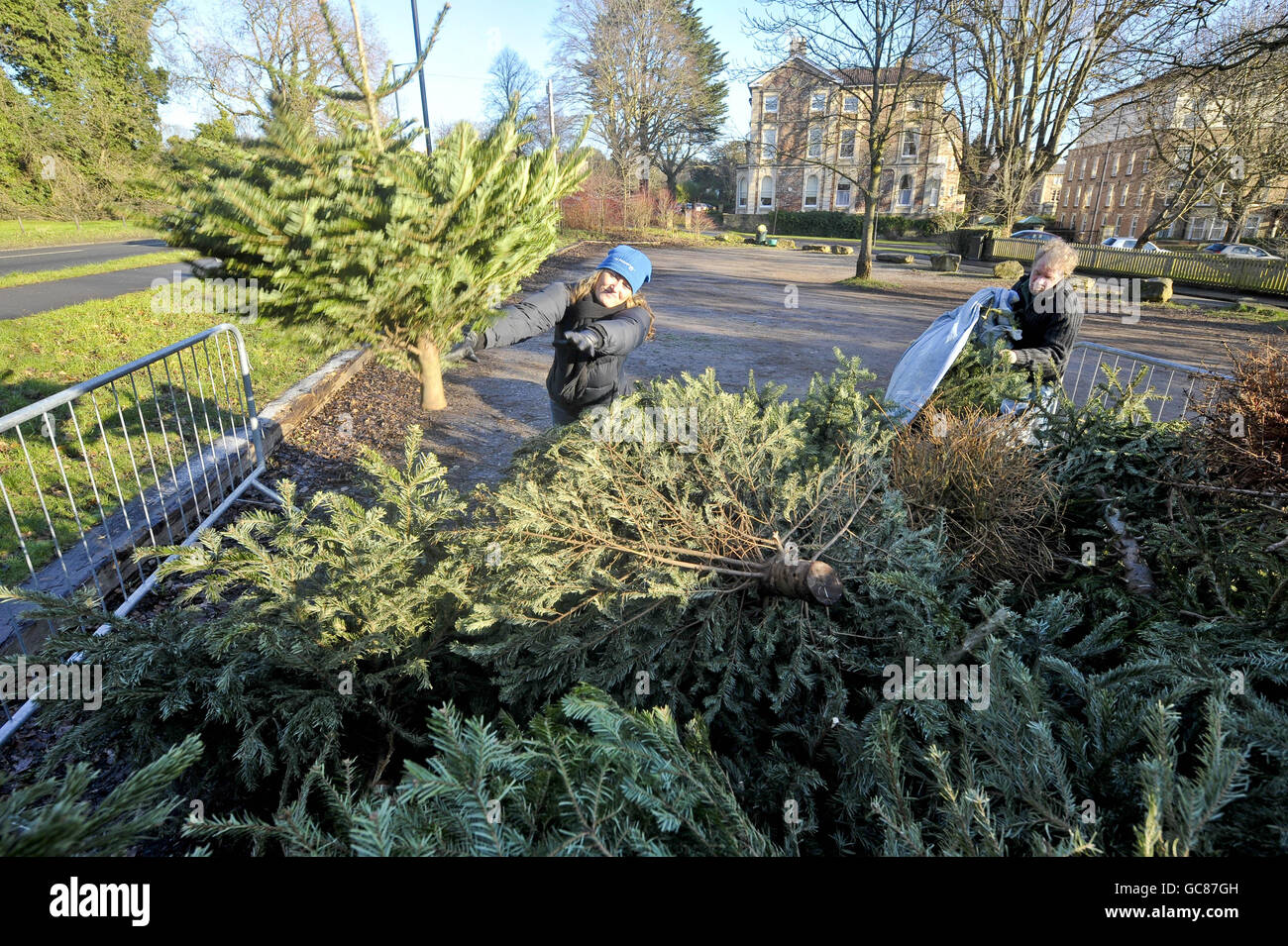 People recycle their Christmas trees at the recycling point set up in